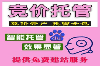 SEM精准广告投放在不同行业的成功应用案例